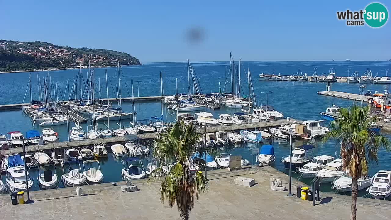 Web kamera Koper – marina i promenada – hotel Grand Koper