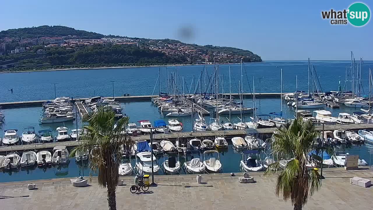 Spletna kamera Koper – Panorama na marino in promenado s Hotela Grand Koper