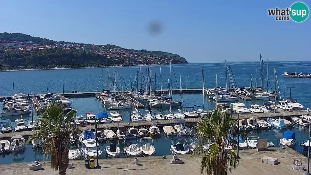Webcam Koper – Panorama de la marina et de la promenade depuis le Grand Hotel Koper