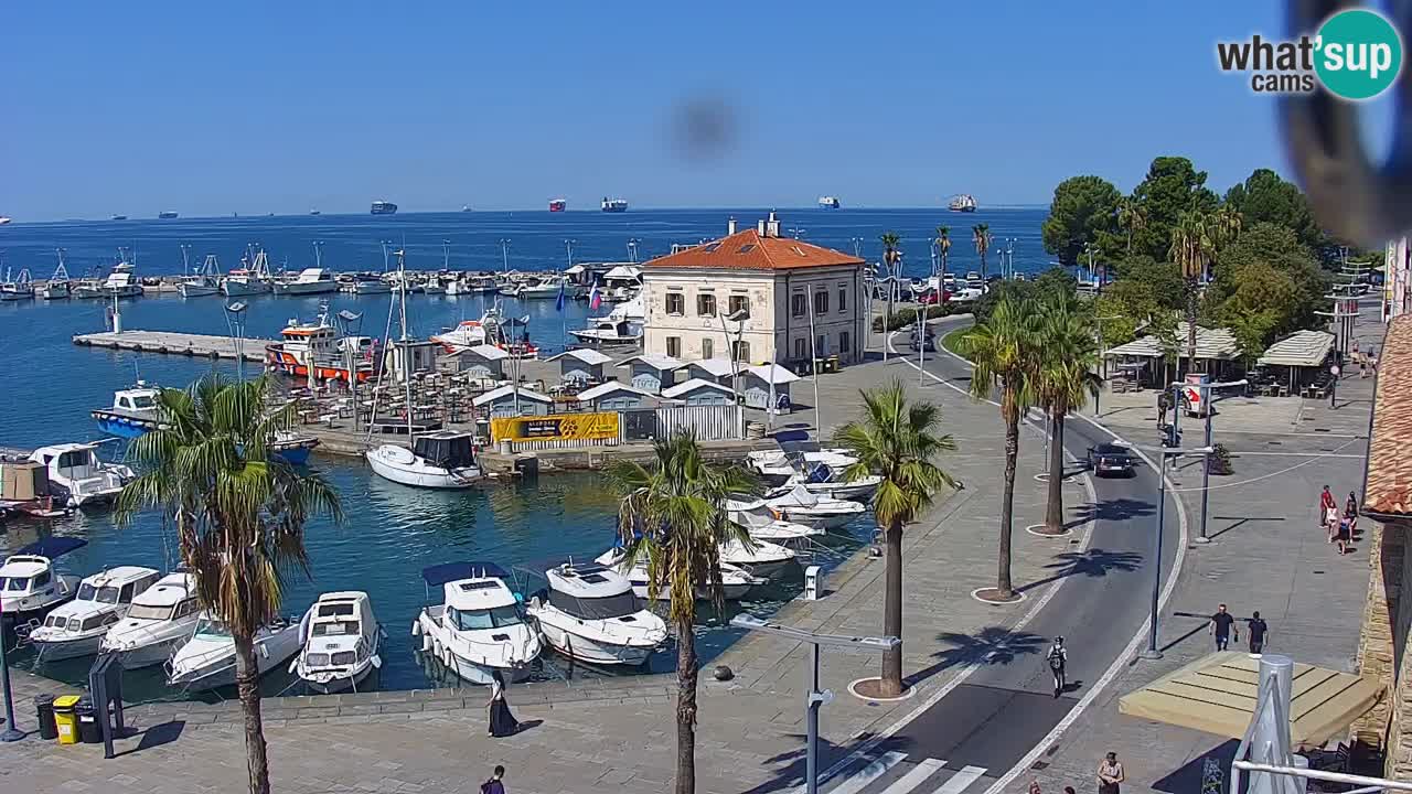 Camera en vivo Koper – puerto deportivo y paseo marítimo desde el Hotel Grand Koper