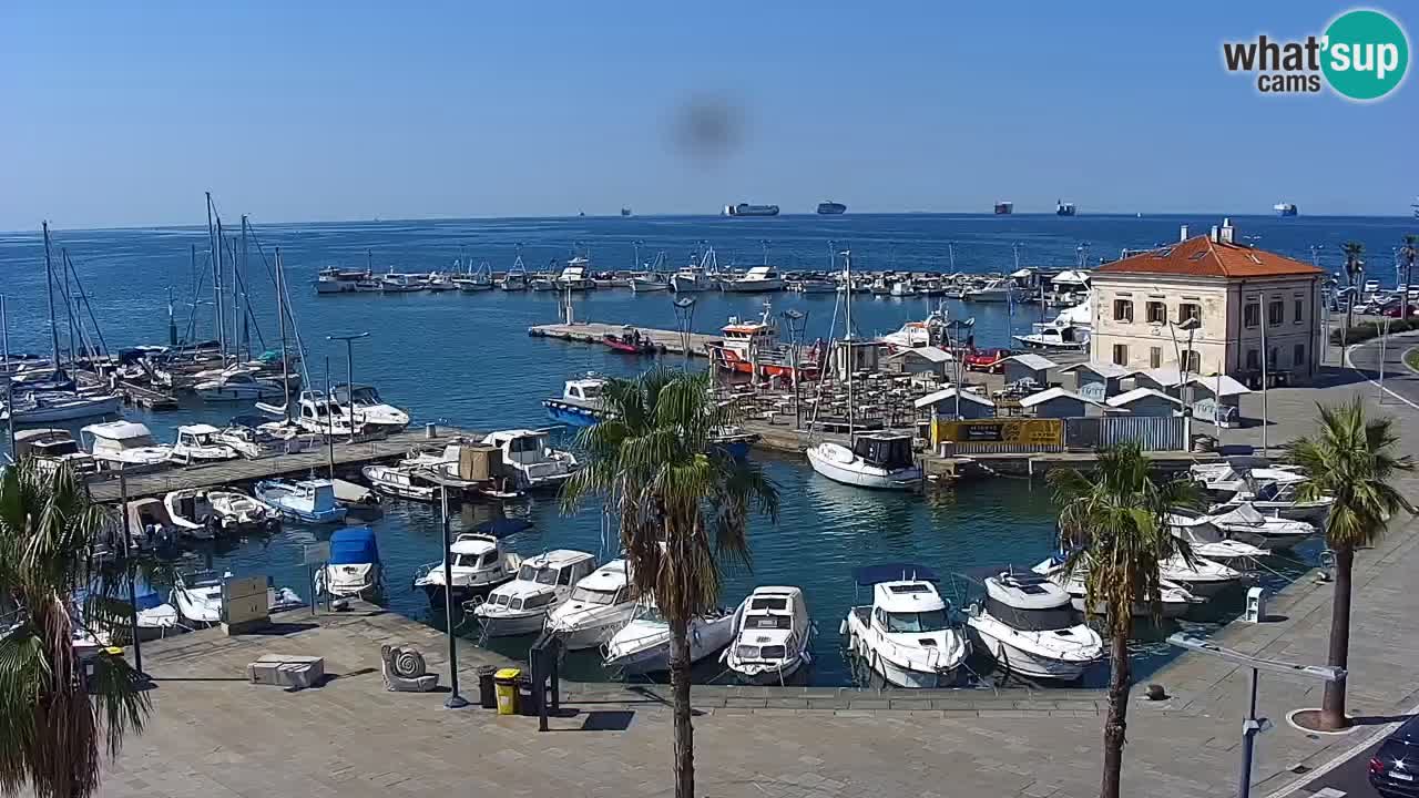 Spletna kamera Koper – Panorama na marino in promenado s Hotela Grand Koper