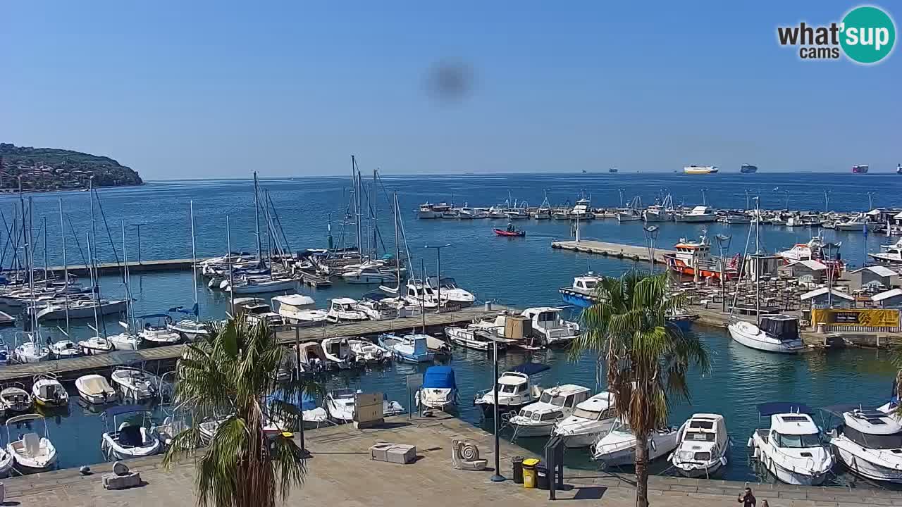 Spletna kamera Koper – Panorama na marino in promenado s Hotela Grand Koper