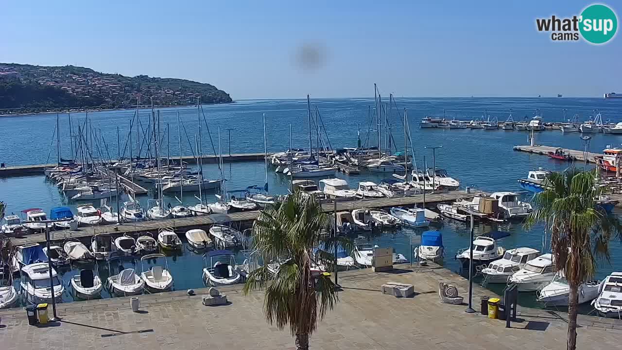 Spletna kamera Koper – Panorama na marino in promenado s Hotela Grand Koper