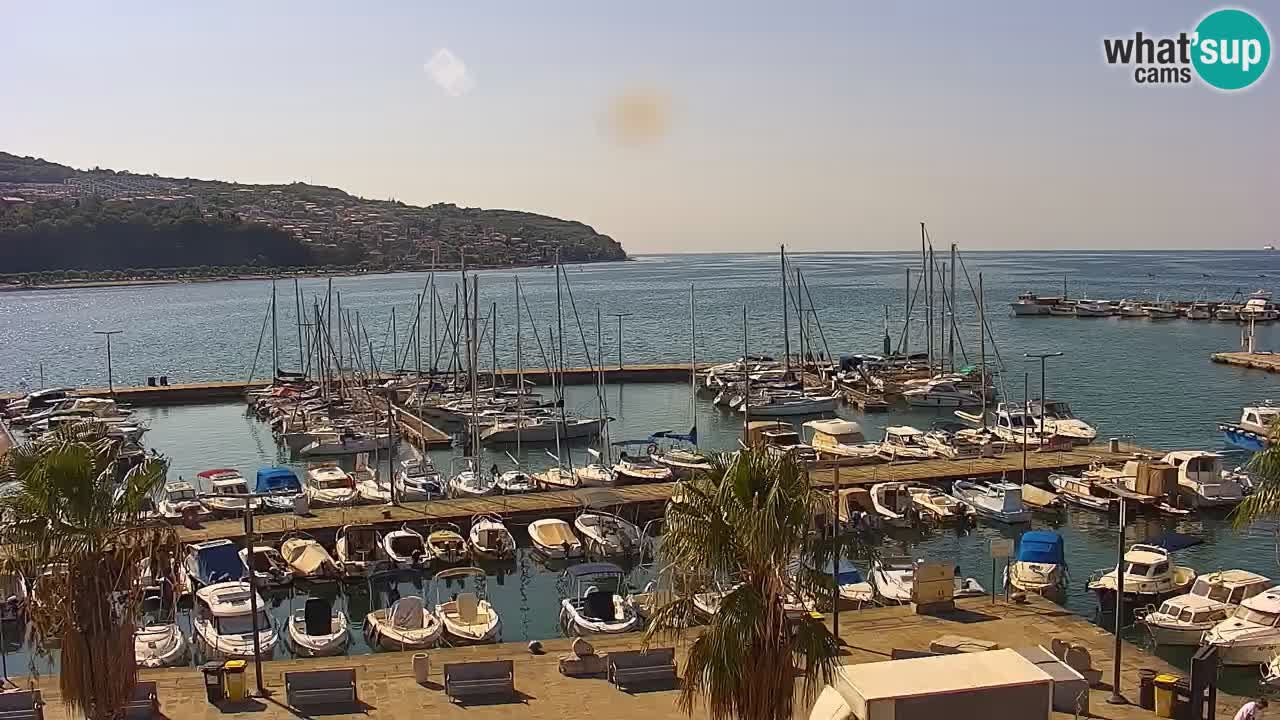 Spletna kamera Koper – Panorama na marino in promenado s Hotela Grand Koper