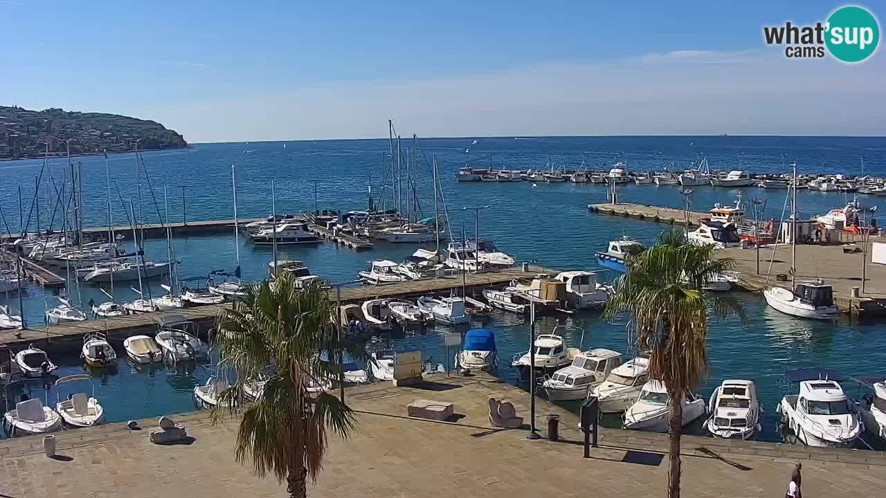 Camera en vivo Koper – puerto deportivo y paseo marítimo desde el Hotel Grand Koper