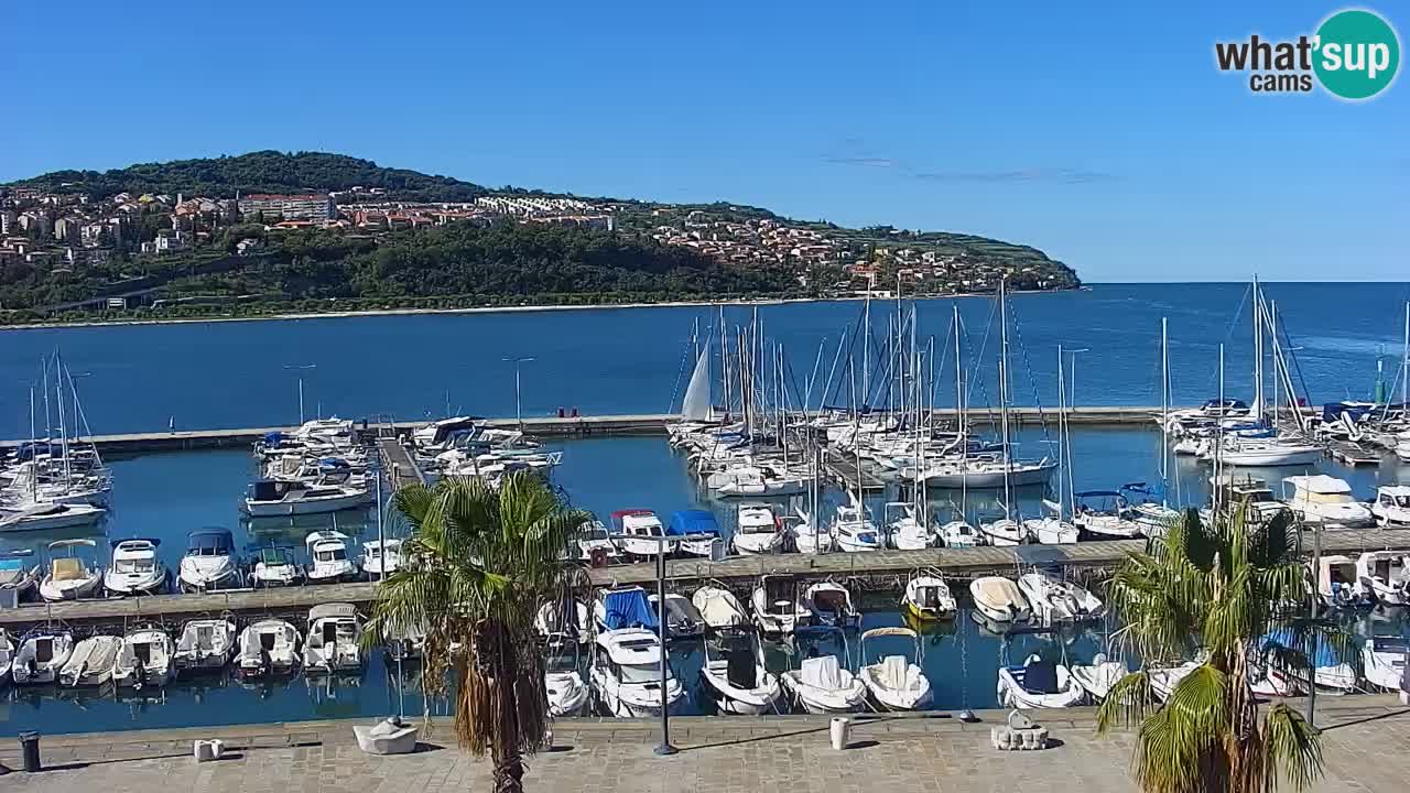 Webcam Koper – Panorama of the marina and promenade from the Grand Hotel Koper