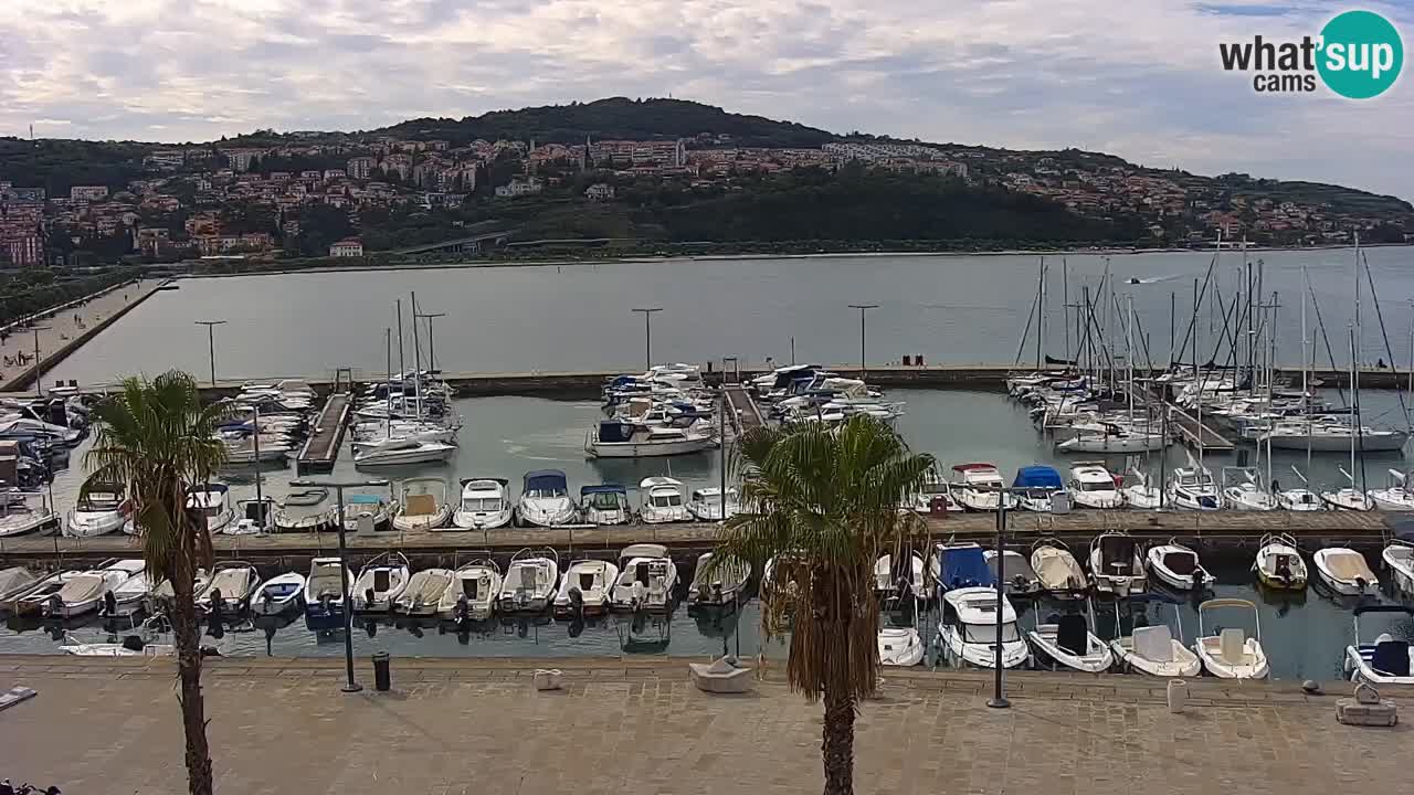 Camera en vivo Koper – puerto deportivo y paseo marítimo desde el Hotel Grand Koper