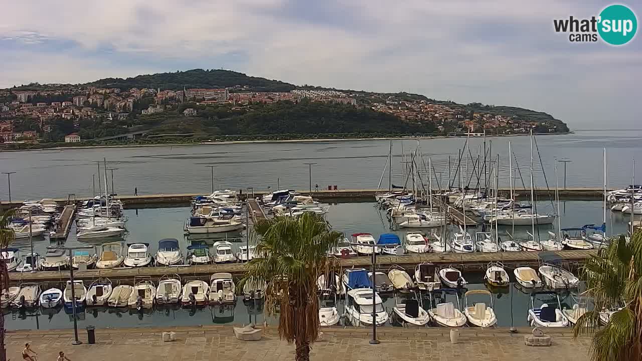 Web kamera Koper – marina i promenada – hotel Grand Koper