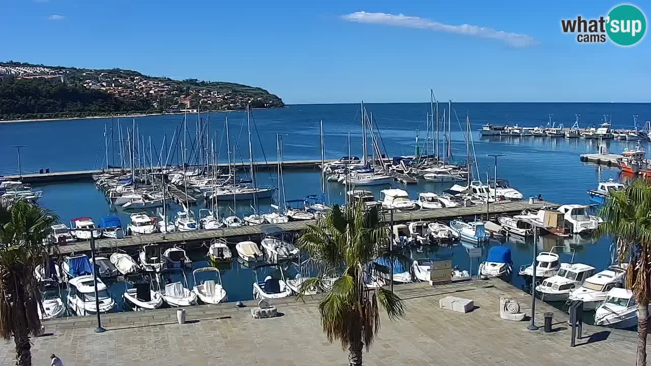 Web kamera Koper – marina i promenada – hotel Grand Koper