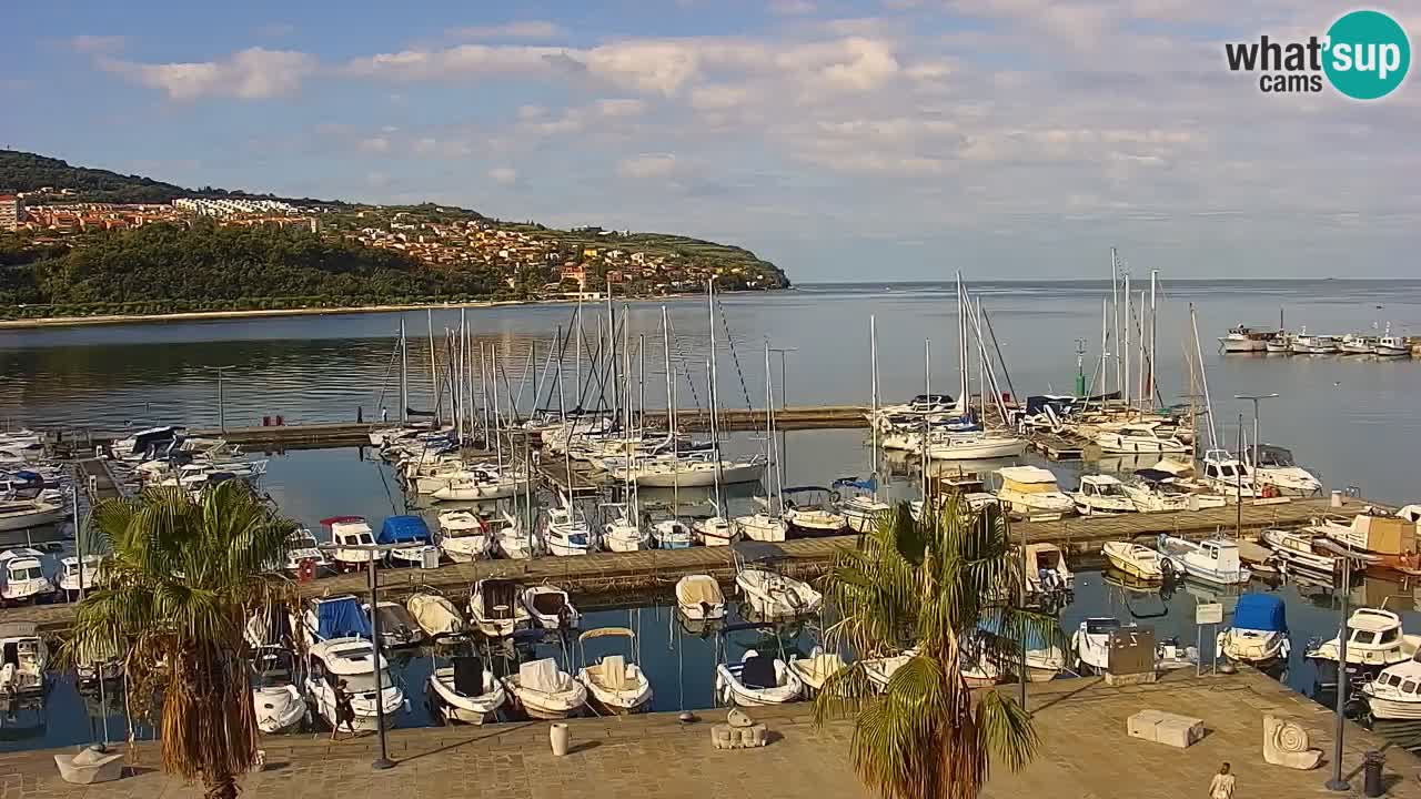 Camera en vivo Koper – puerto deportivo y paseo marítimo desde el Hotel Grand Koper