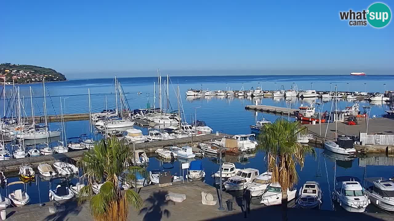 Webcam Koper – Panorama of the marina and promenade from the Grand Hotel Koper