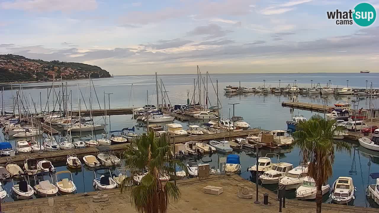 Webcam Koper – Panorama of the marina and promenade from the Grand Hotel Koper