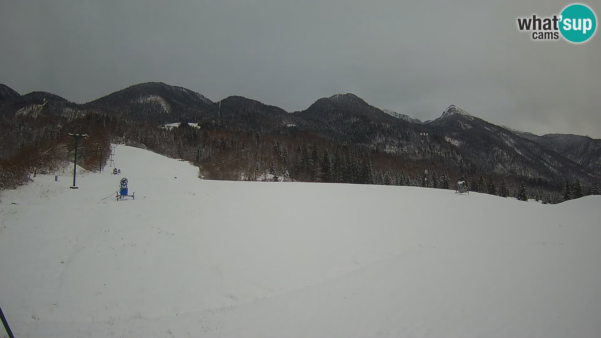 Spletna kamera Smučišče Kozji hrbet – Bohinjska Bistrica