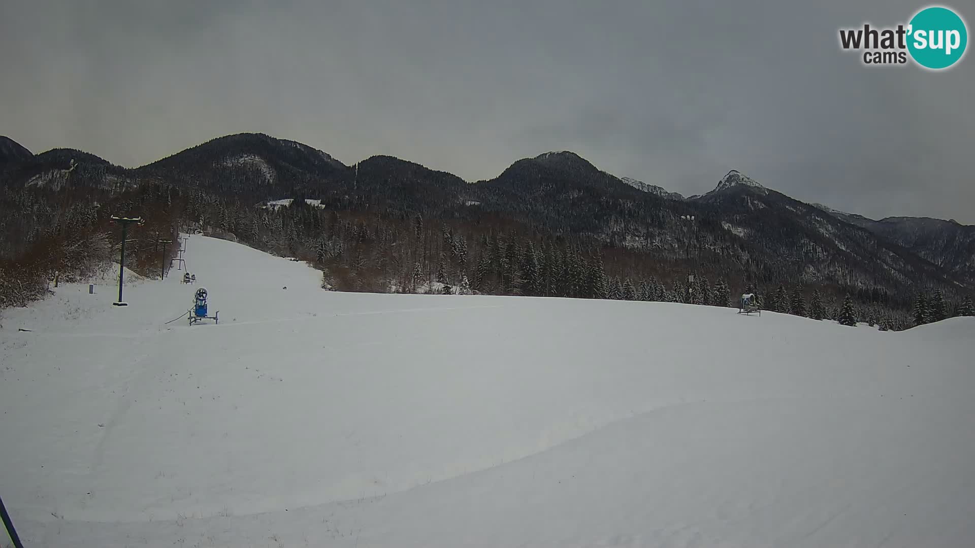 Spletna kamera Smučišče Kozji hrbet – Bohinjska Bistrica