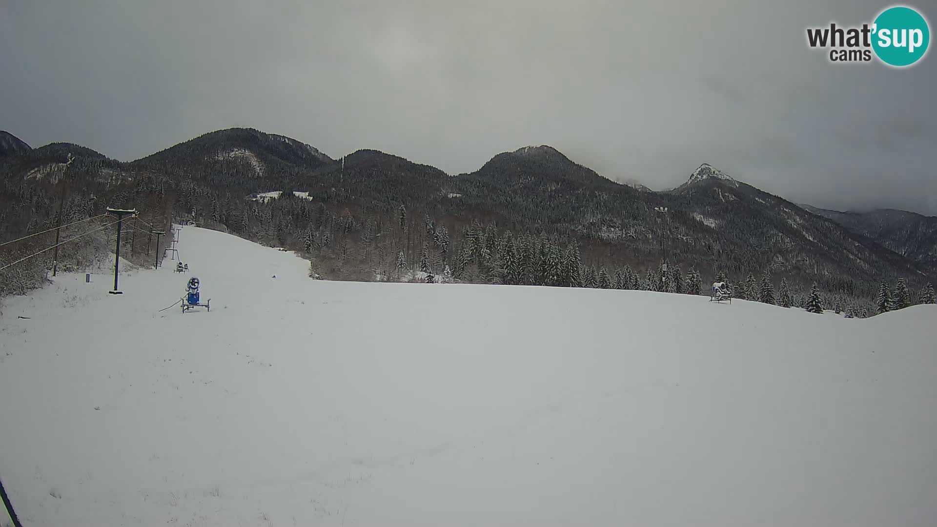 Spletna kamera Smučišče Kozji hrbet – Bohinjska Bistrica