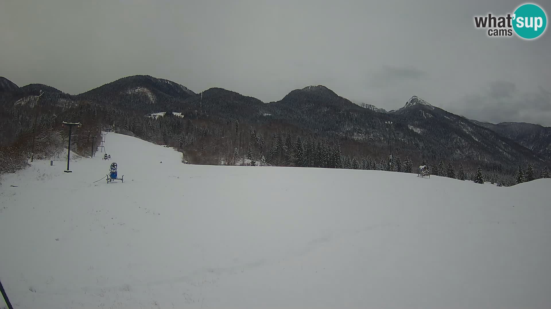 Webcam in diretta stazione sciistica – Smučišče Kozji hrbet – Bohinjska Bistrica – Slovenia