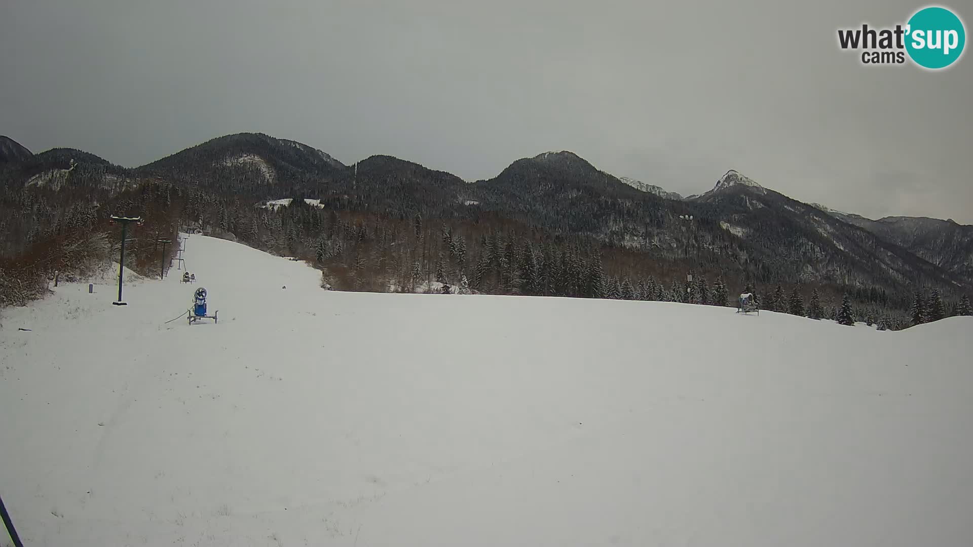 Webcam in diretta stazione sciistica – Smučišče Kozji hrbet – Bohinjska Bistrica – Slovenia