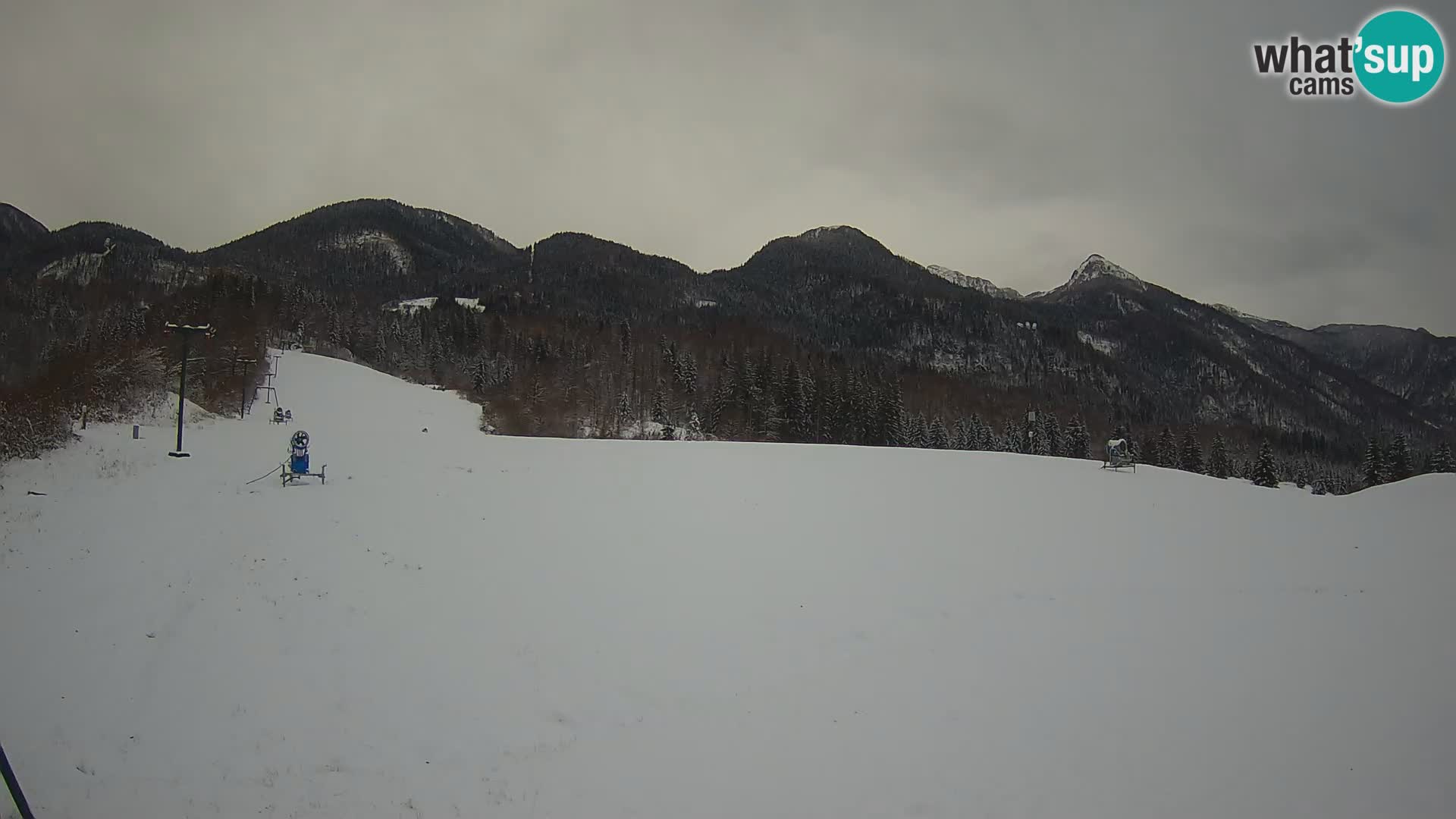 Webcam in diretta stazione sciistica – Smučišče Kozji hrbet – Bohinjska Bistrica – Slovenia