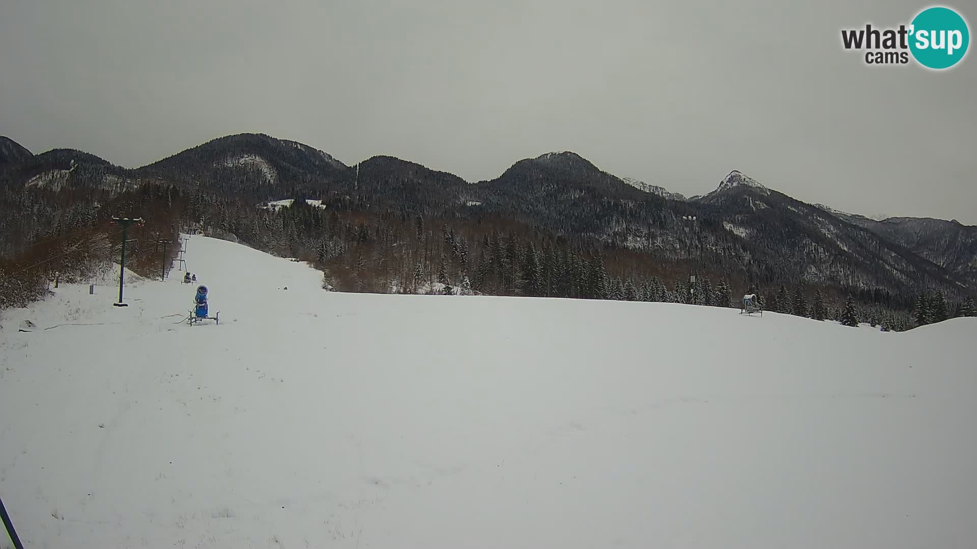 Webcam in diretta stazione sciistica – Smučišče Kozji hrbet – Bohinjska Bistrica – Slovenia