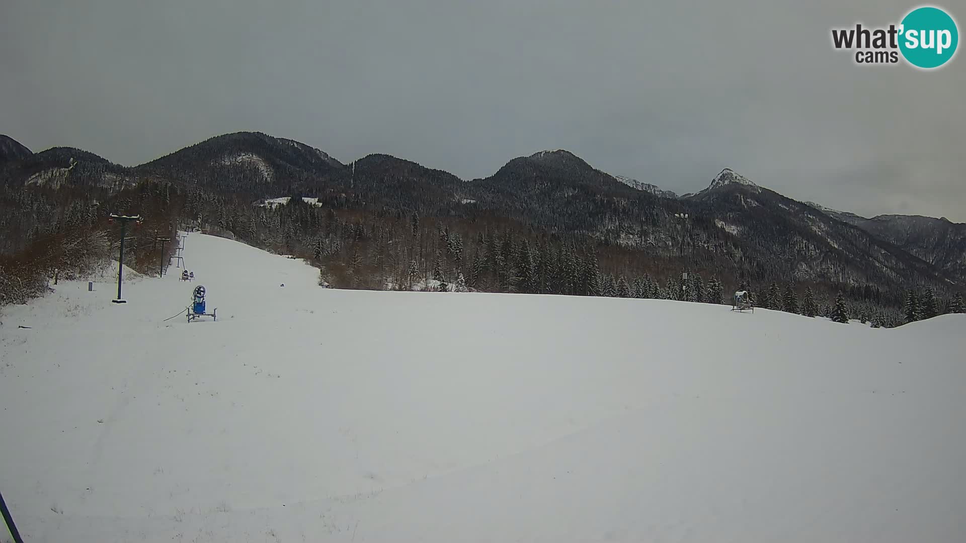 Webcam in diretta stazione sciistica – Smučišče Kozji hrbet – Bohinjska Bistrica – Slovenia