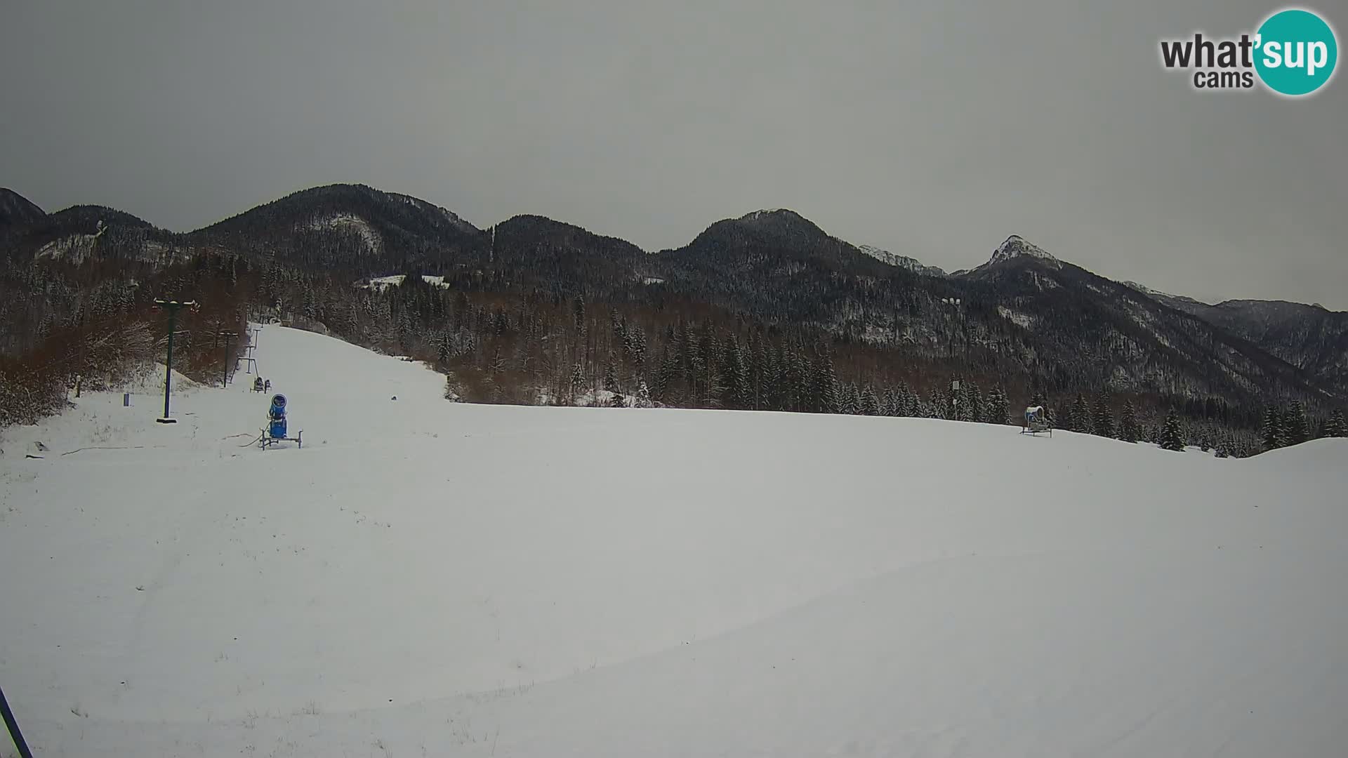 Estación de esquí webcam en vivo – Smučišče Kozji hrbet – Bohinjska Bistrica – Eslovenia