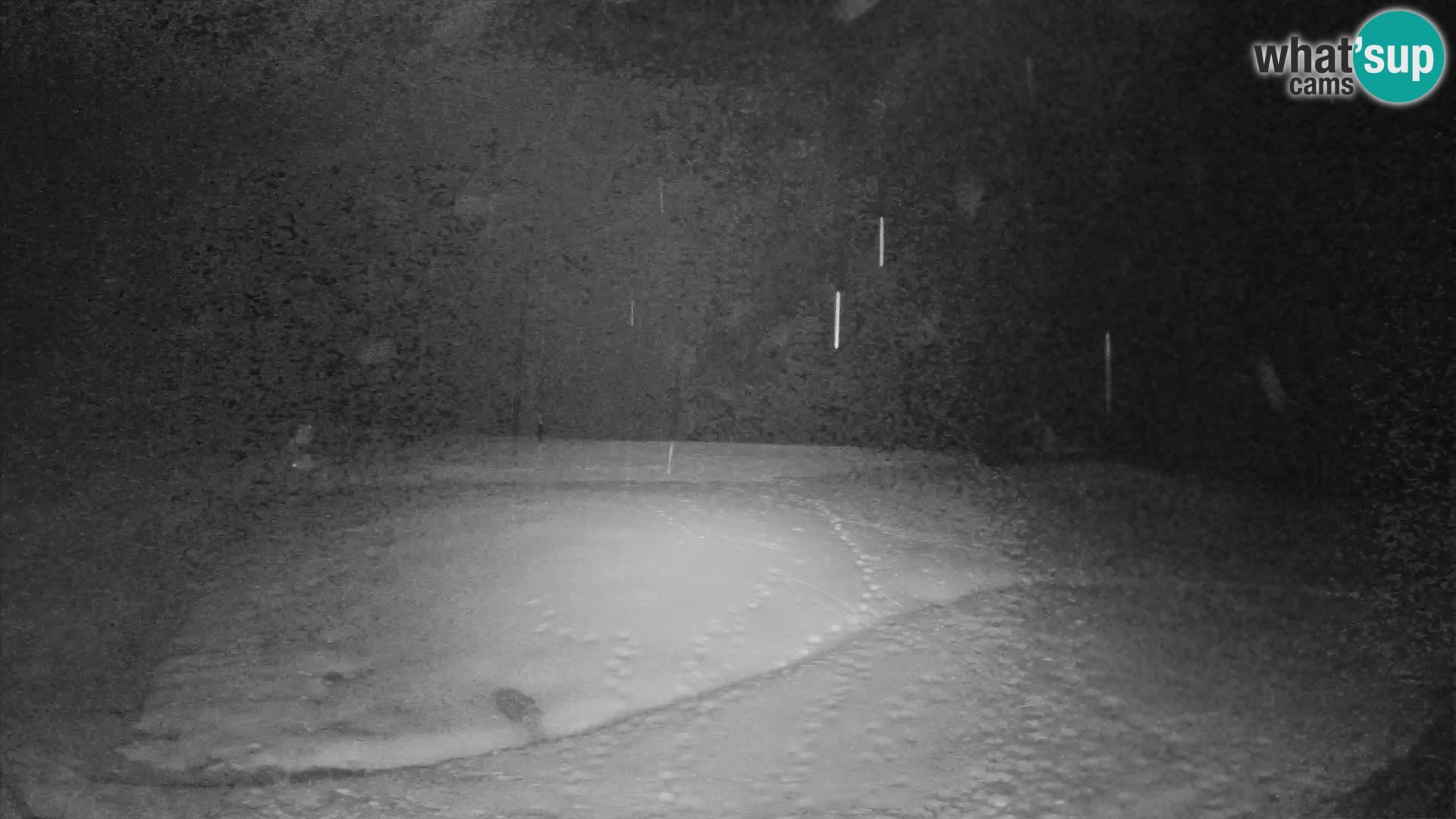 Live-Webcam Skigebiet – Smučišče Kozji hrbet – Bohinjska Bistrica – Slowenien