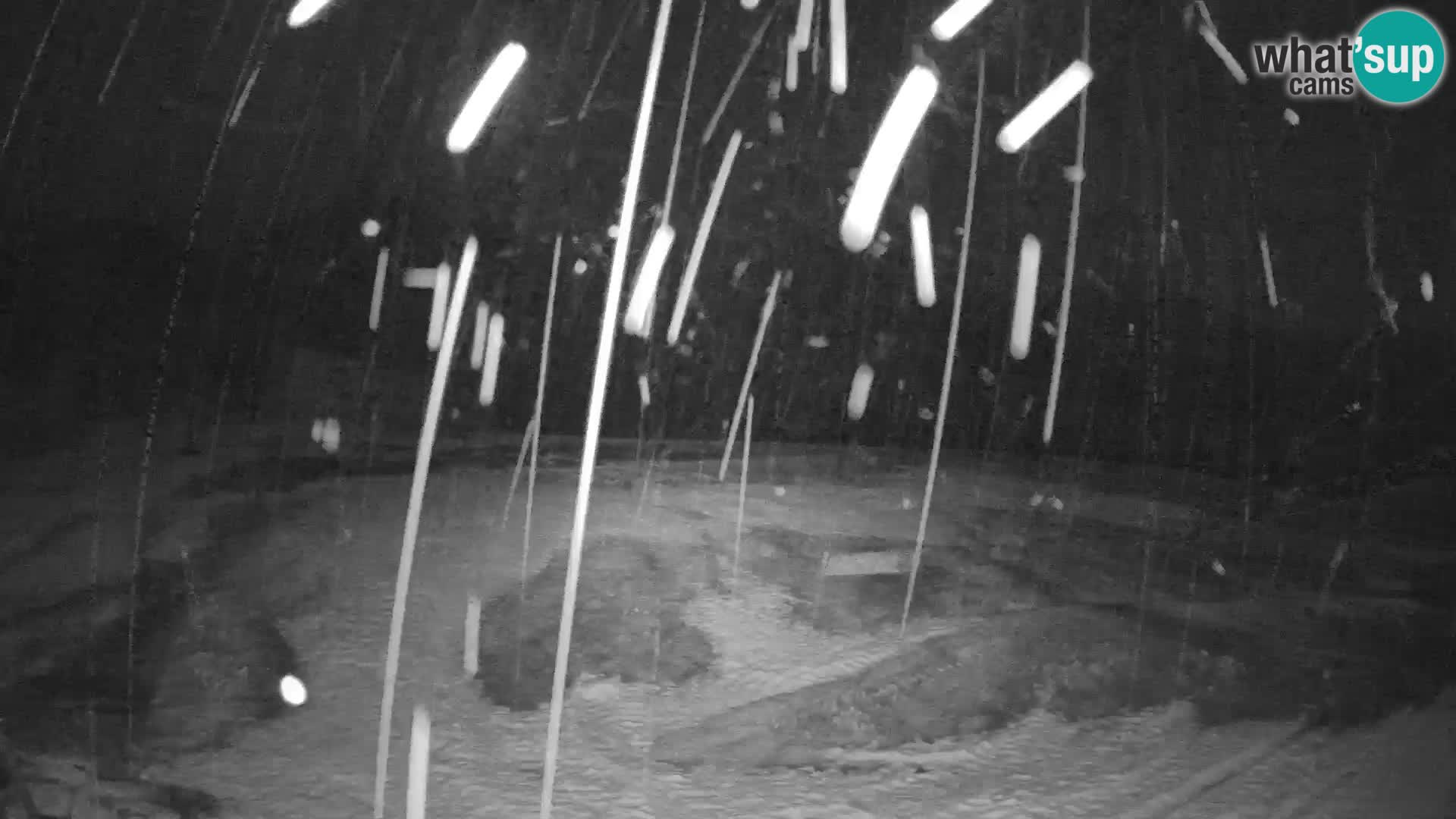 Live-Webcam Skigebiet – Smučišče Kozji hrbet – Bohinjska Bistrica – Slowenien