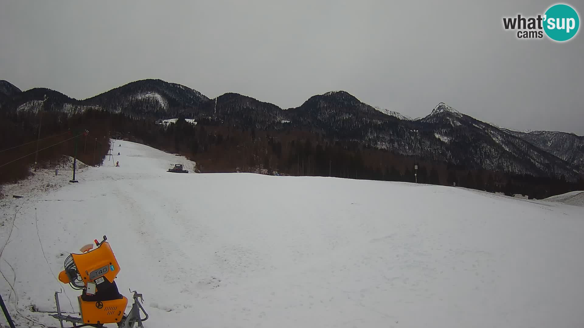 Estación de esquí webcam en vivo – Smučišče Kozji hrbet – Bohinjska Bistrica – Eslovenia