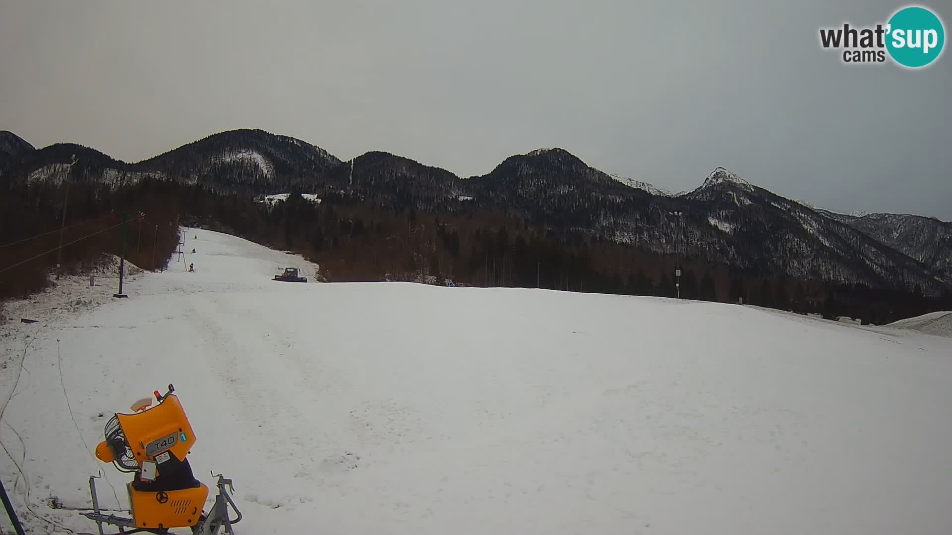 Spletna kamera Smučišče Kozji hrbet – Bohinjska Bistrica