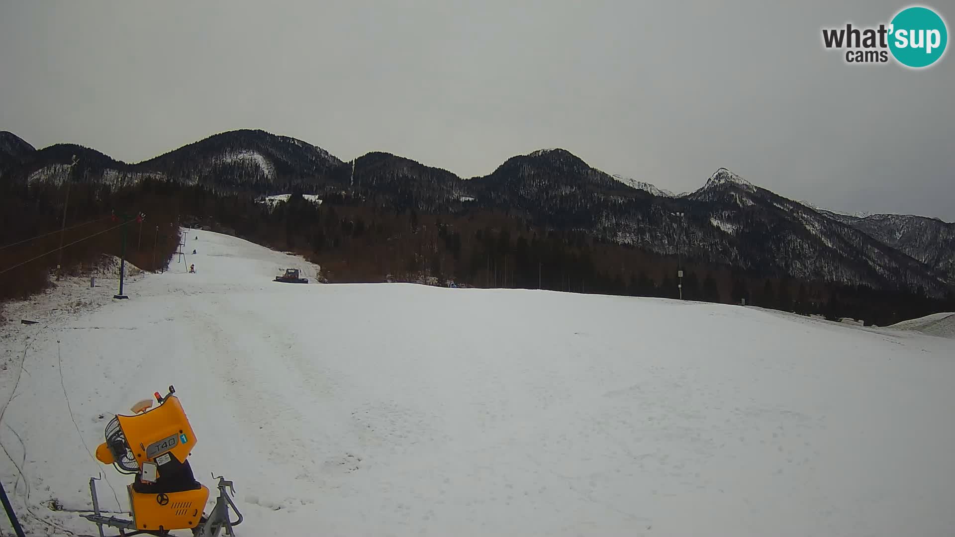 Webcam in diretta stazione sciistica – Smučišče Kozji hrbet – Bohinjska Bistrica – Slovenia