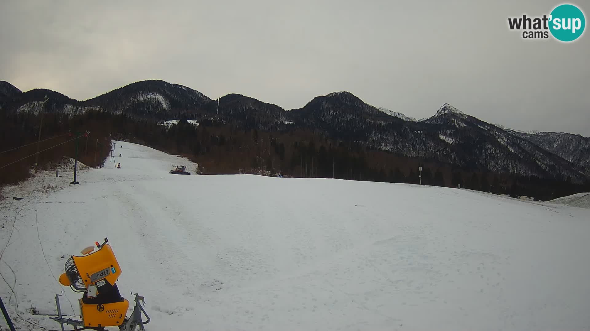 Live-Webcam Skigebiet – Smučišče Kozji hrbet – Bohinjska Bistrica – Slowenien