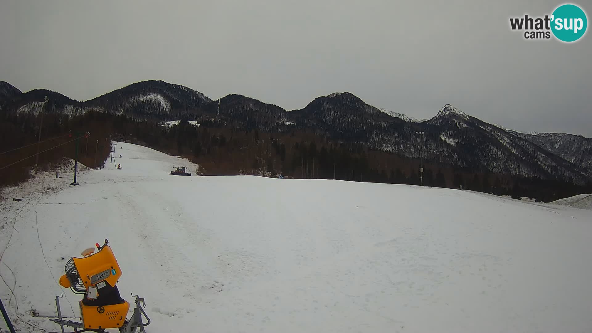 Live-Webcam Skigebiet – Smučišče Kozji hrbet – Bohinjska Bistrica – Slowenien