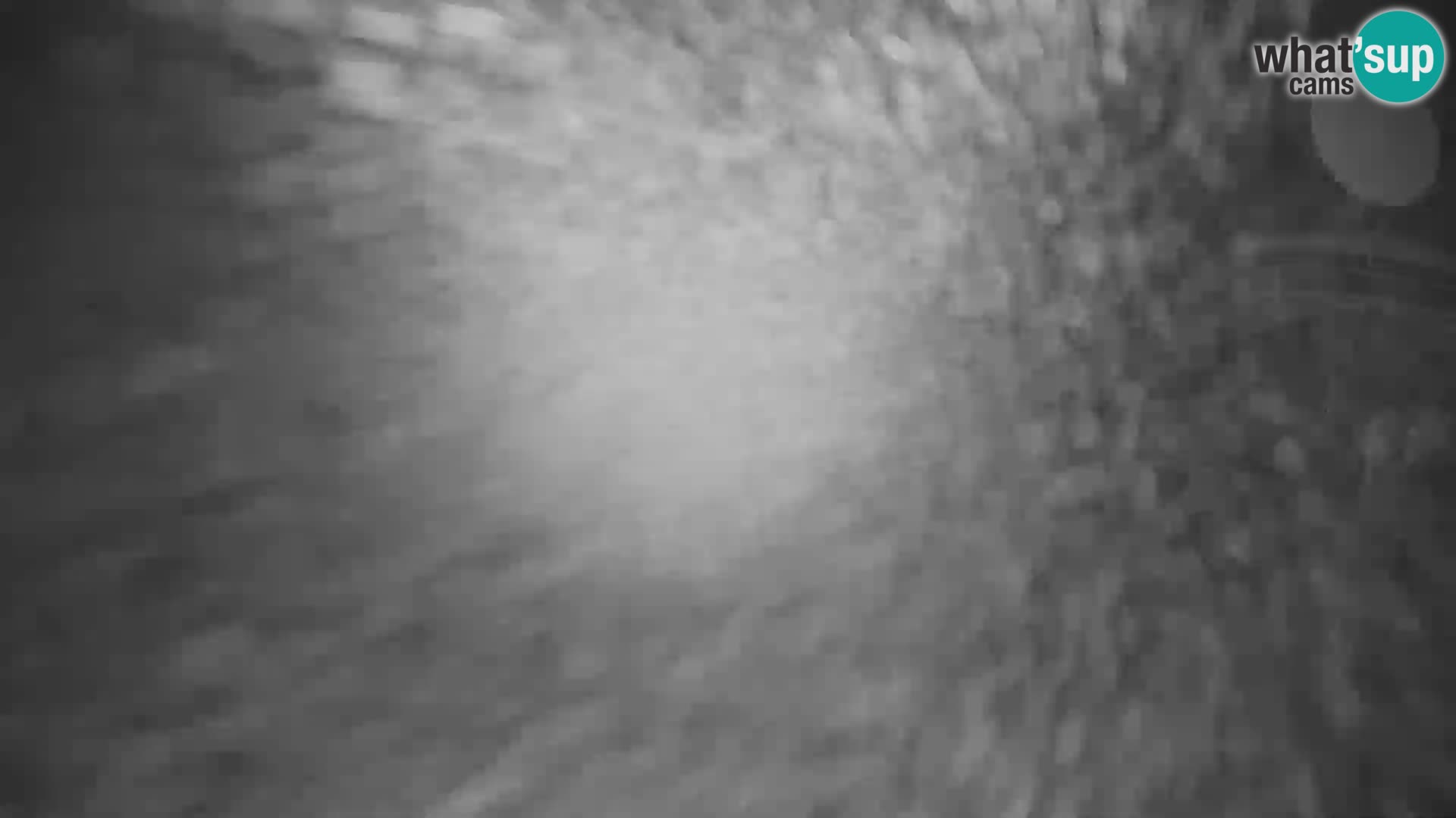 Webcam in diretta stazione sciistica – Smučišče Kozji hrbet – Bohinjska Bistrica – Slovenia