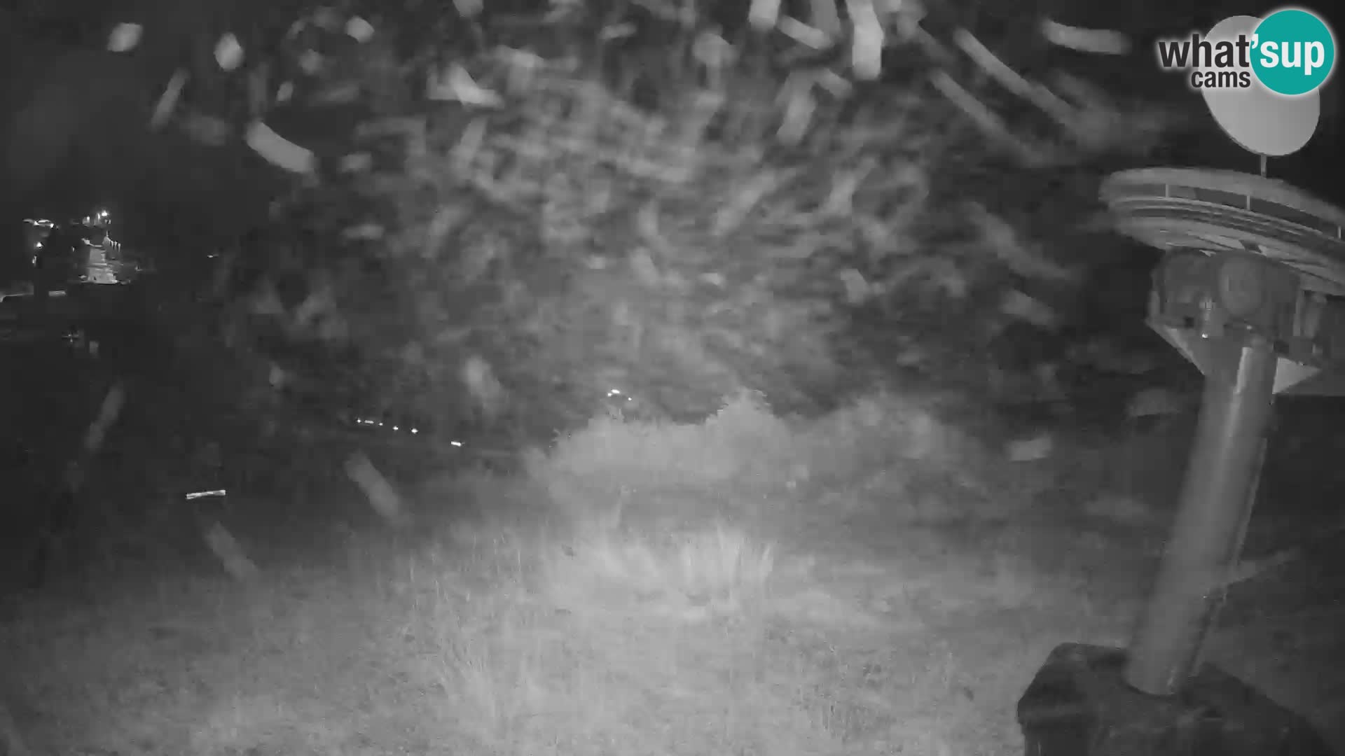Webcam in diretta stazione sciistica – Smučišče Kozji hrbet – Bohinjska Bistrica – Slovenia