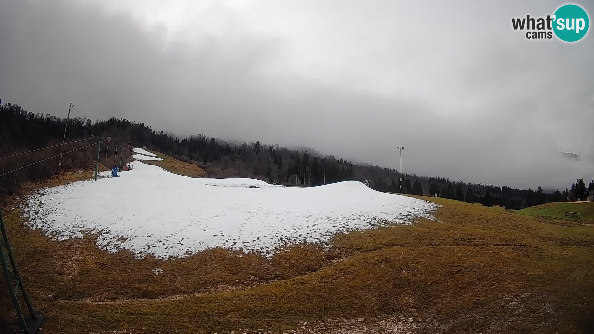 Webcam Kozji Hrbet – Vue en direct depuis la station de ski de Bohinjska Bistrica