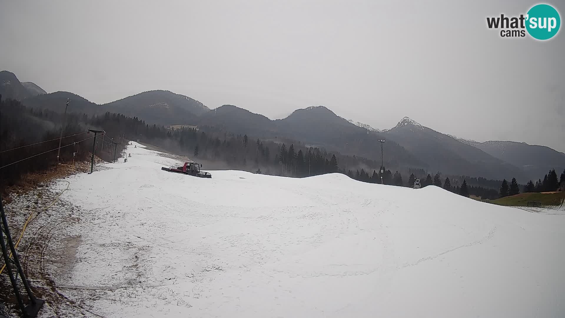 Webcam Kozji Hrbet – Live View from the Ski Station in Bohinjska Bistrica
