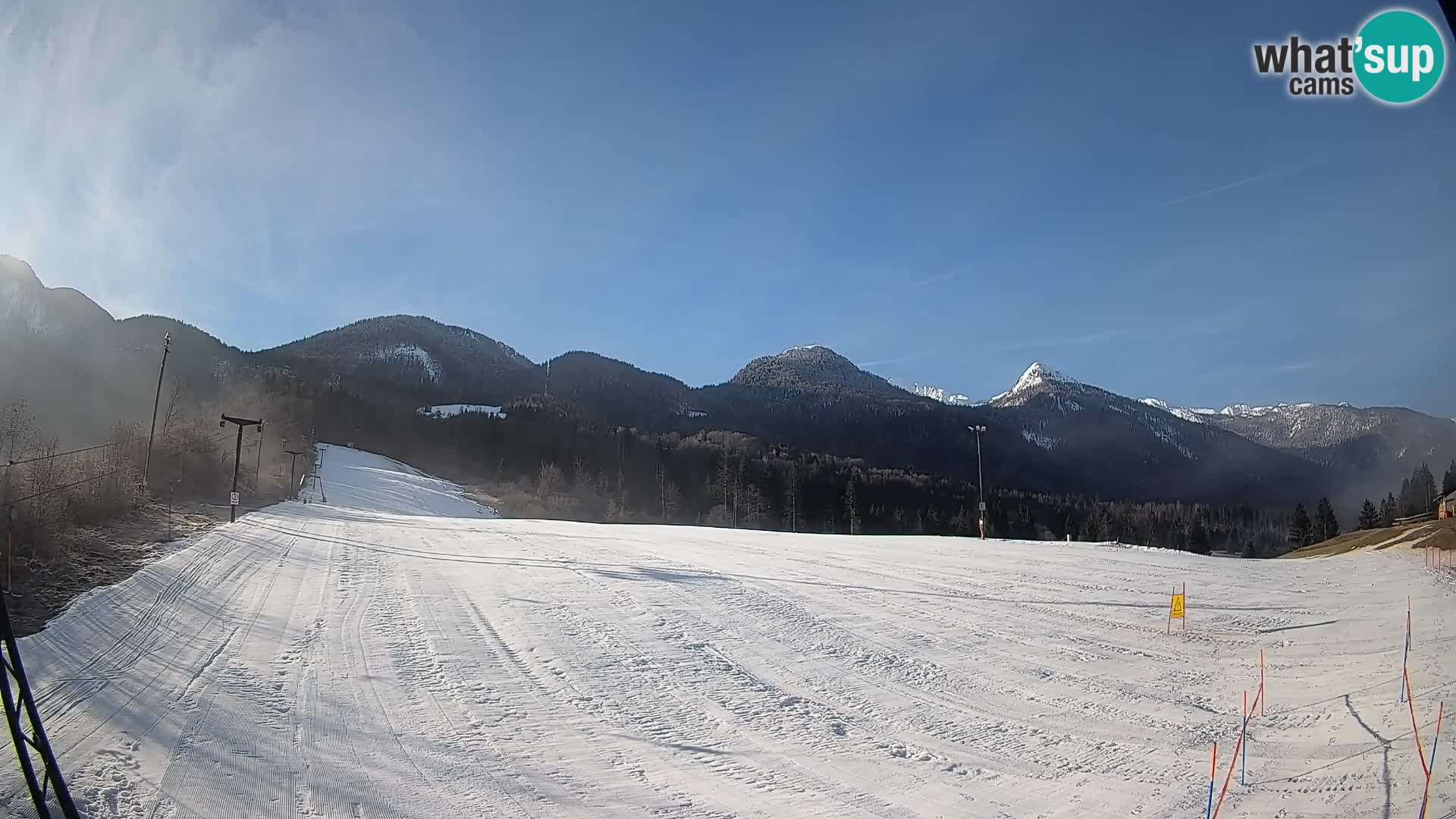 Webcam Kozji Hrbet – Vue en direct depuis la station de ski de Bohinjska Bistrica