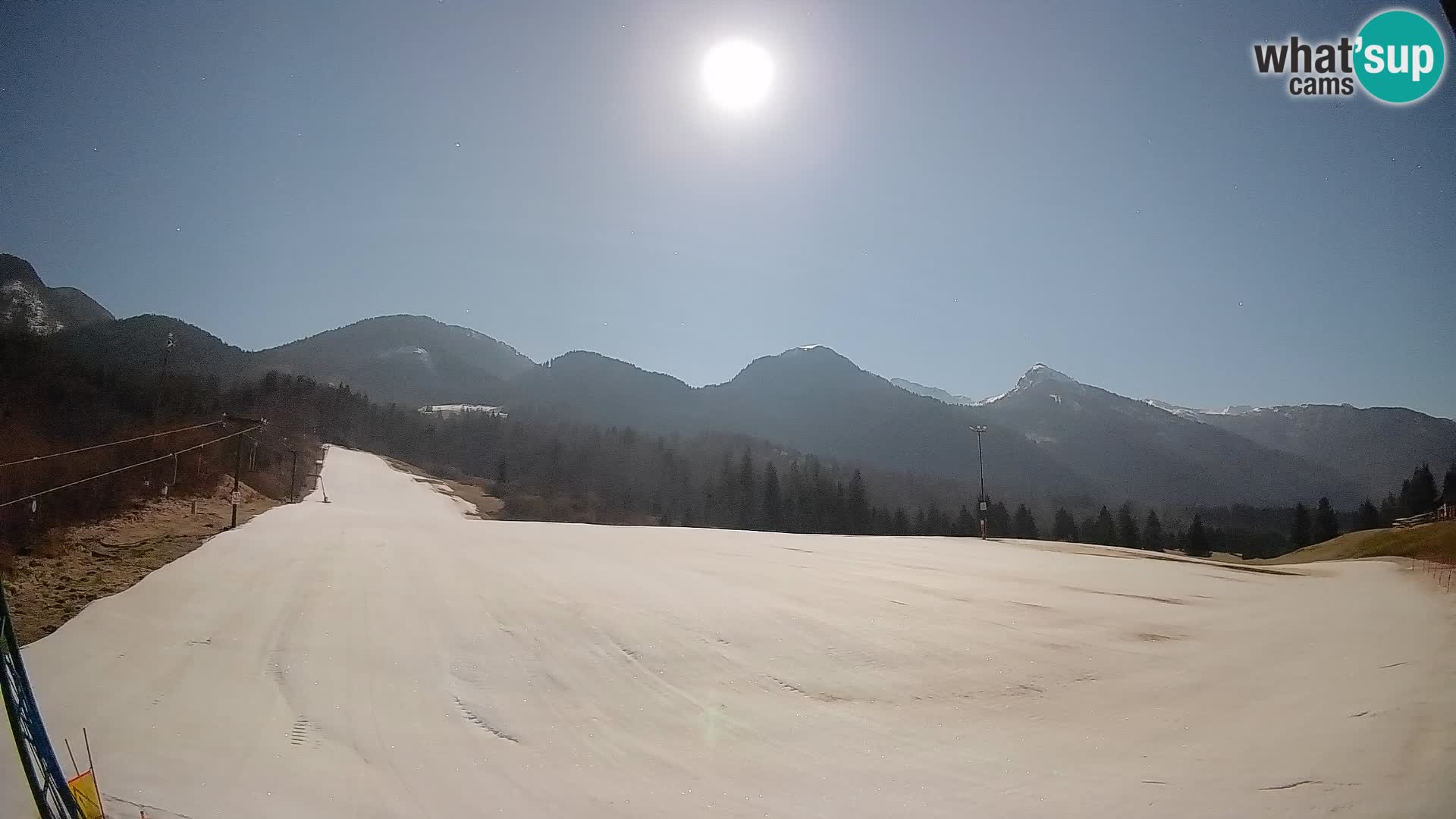 Spletna kamera Kozji Hrbet – Pogled v živo s smučišča v Bohinjski Bistrici