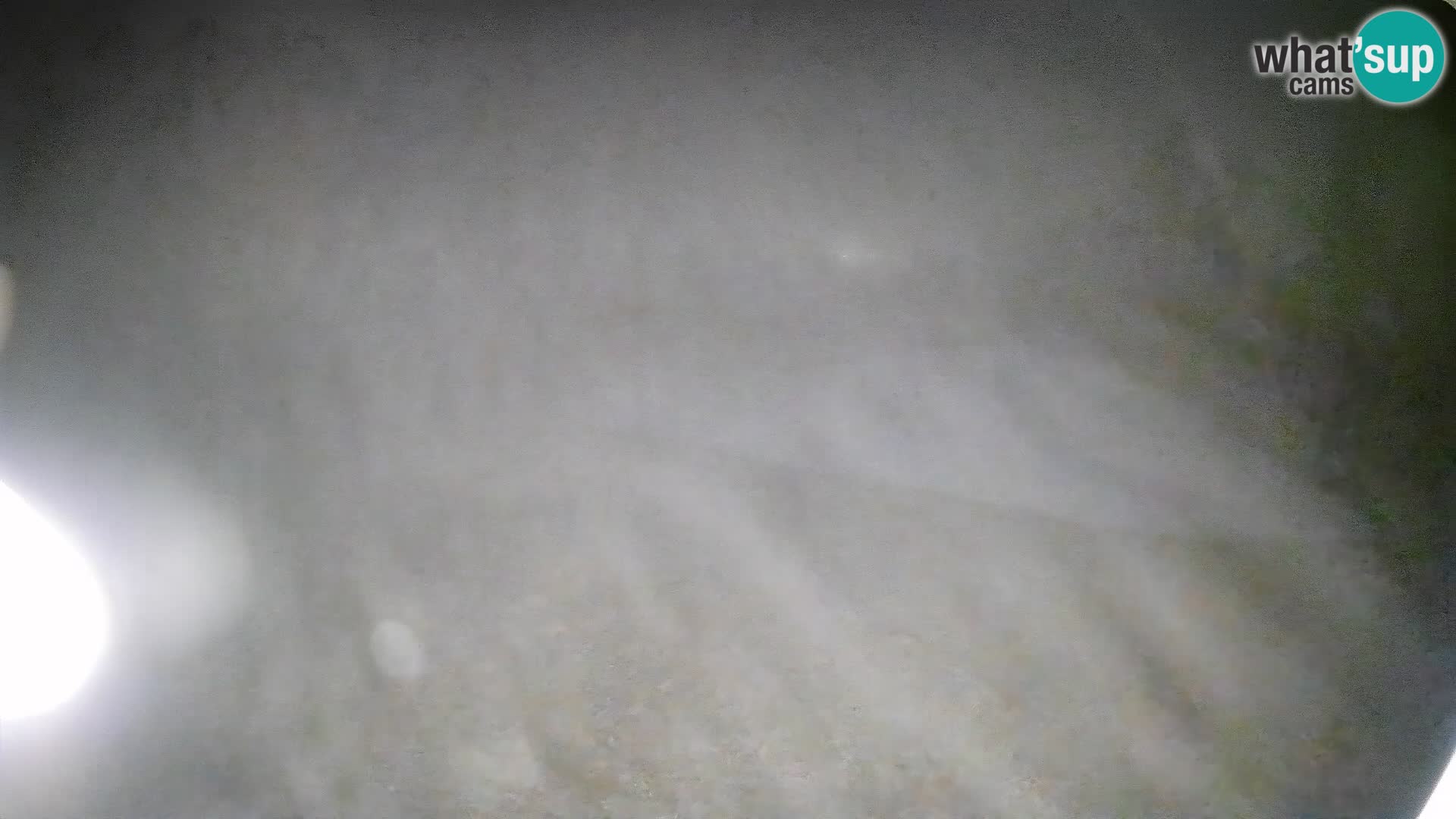 Webcam Bohinjska Bistrica – Vue en direct depuis la station de ski Kozji Hrbet