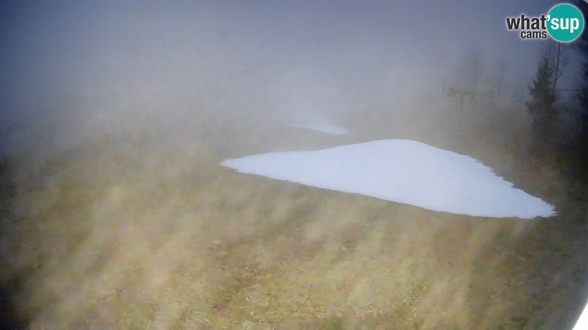 Webcam Bohinjska Bistrica – Vue en direct depuis la station de ski Kozji Hrbet