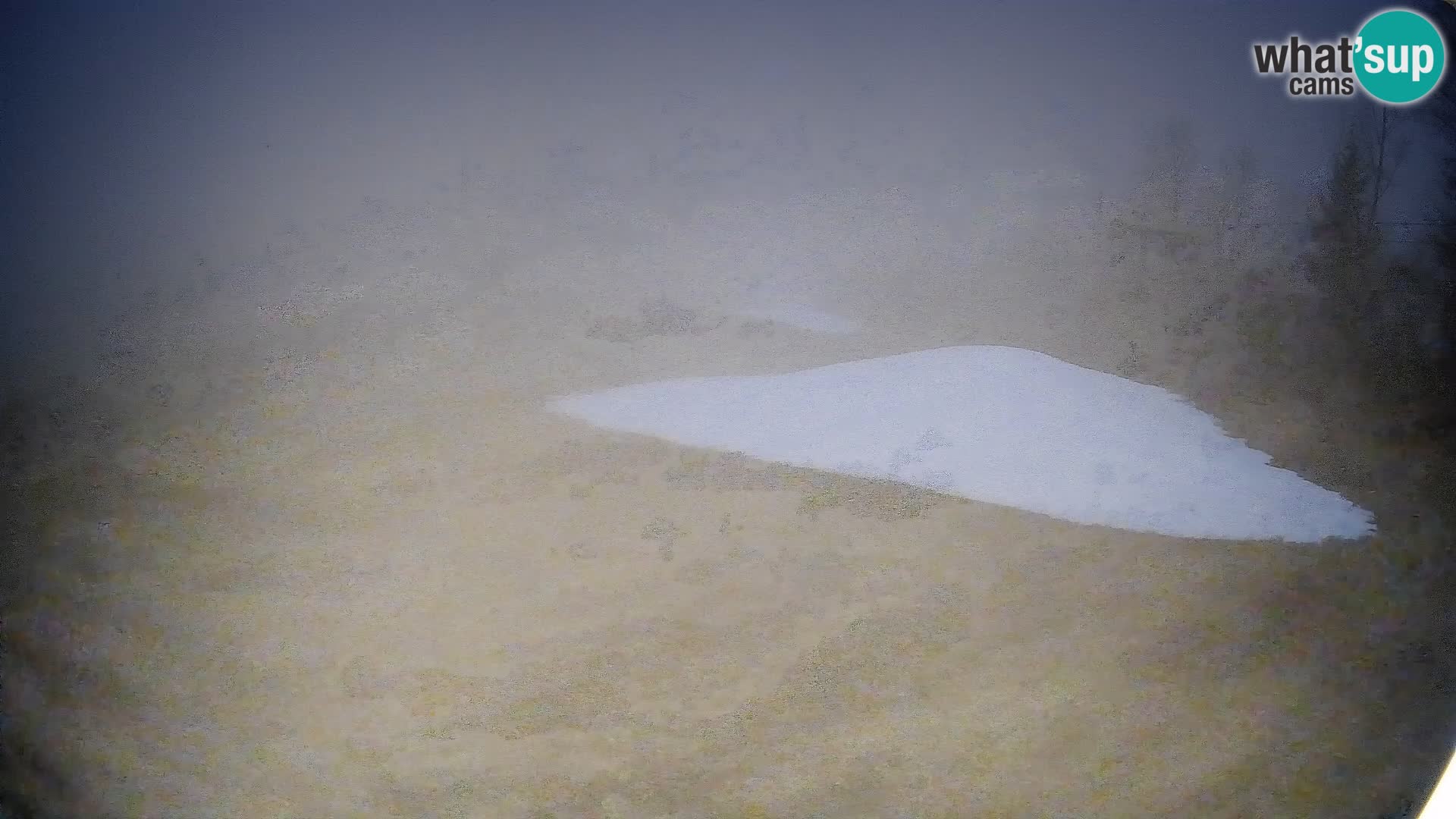 Webcam Bohinjska Bistrica – Vue en direct depuis la station de ski Kozji Hrbet