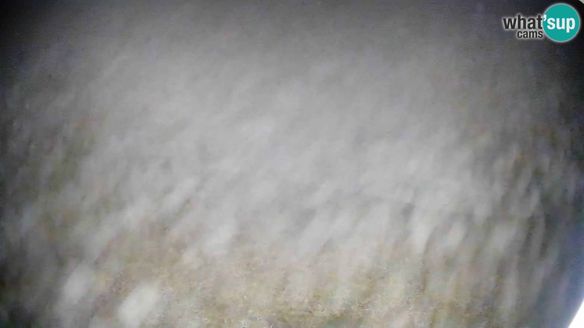 Webcam Bohinjska Bistrica – Live View from Kozji Hrbet Ski Station