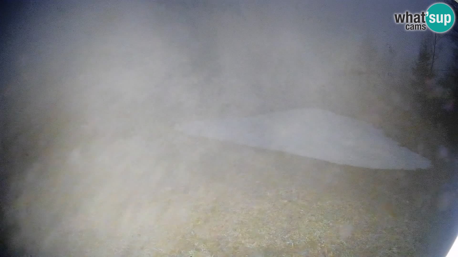 Webcam Bohinjska Bistrica – Live View from Kozji Hrbet Ski Station