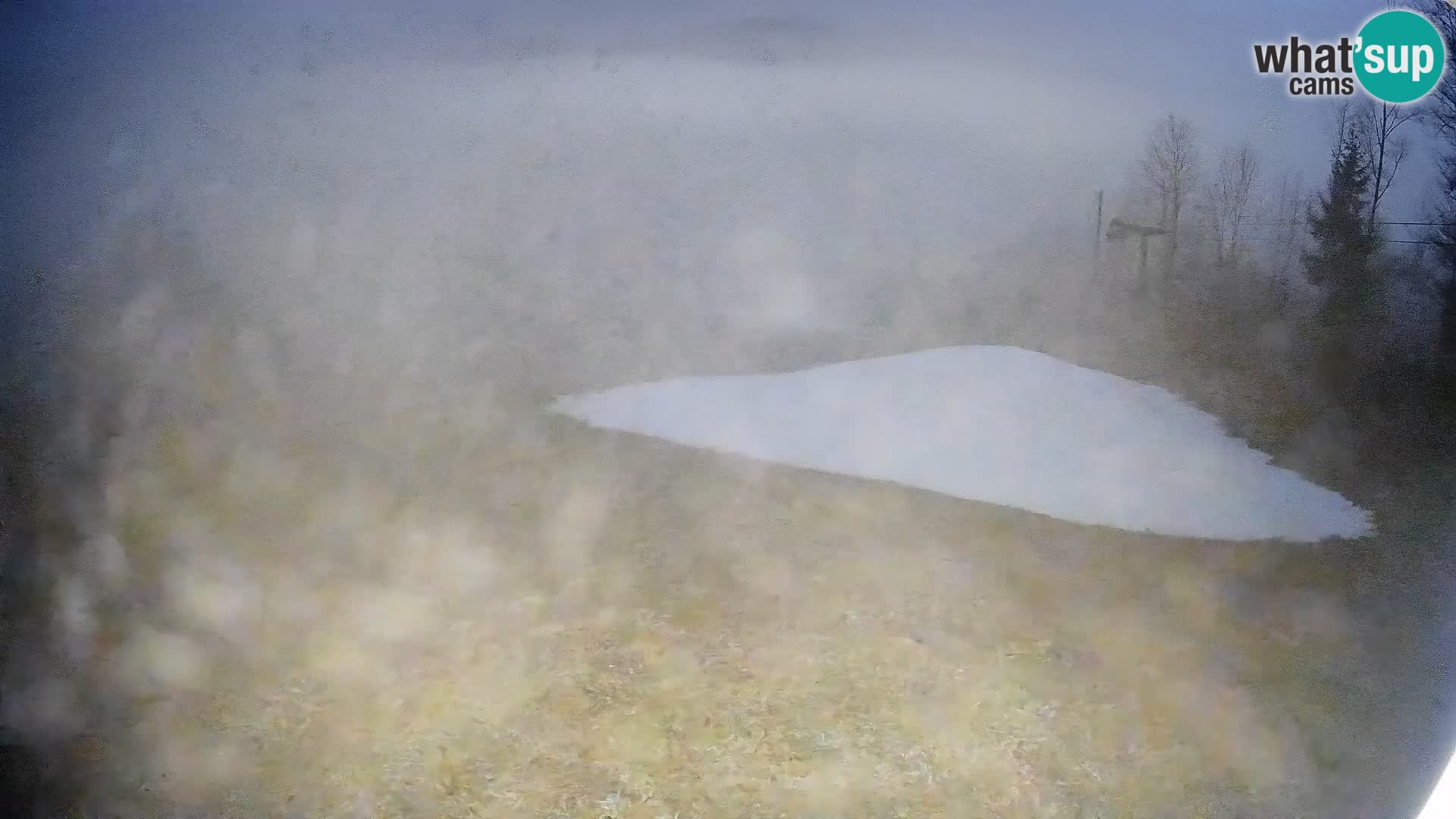 Webcam Bohinjska Bistrica – Vue en direct depuis la station de ski Kozji Hrbet