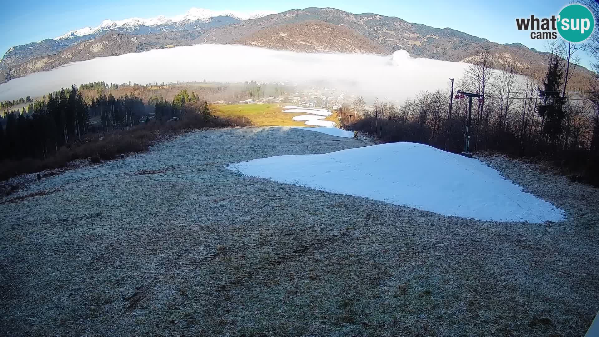 Webcam Bohinjska Bistrica – Vue en direct depuis la station de ski Kozji Hrbet