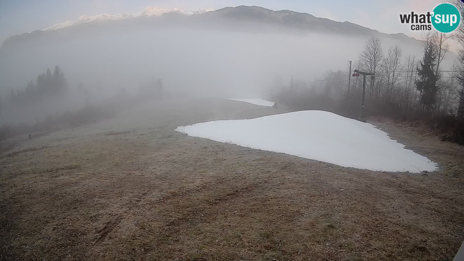 Spletna kamera Bohinjska Bistrica – Pogled v živo s smučišča Kozji Hrbet