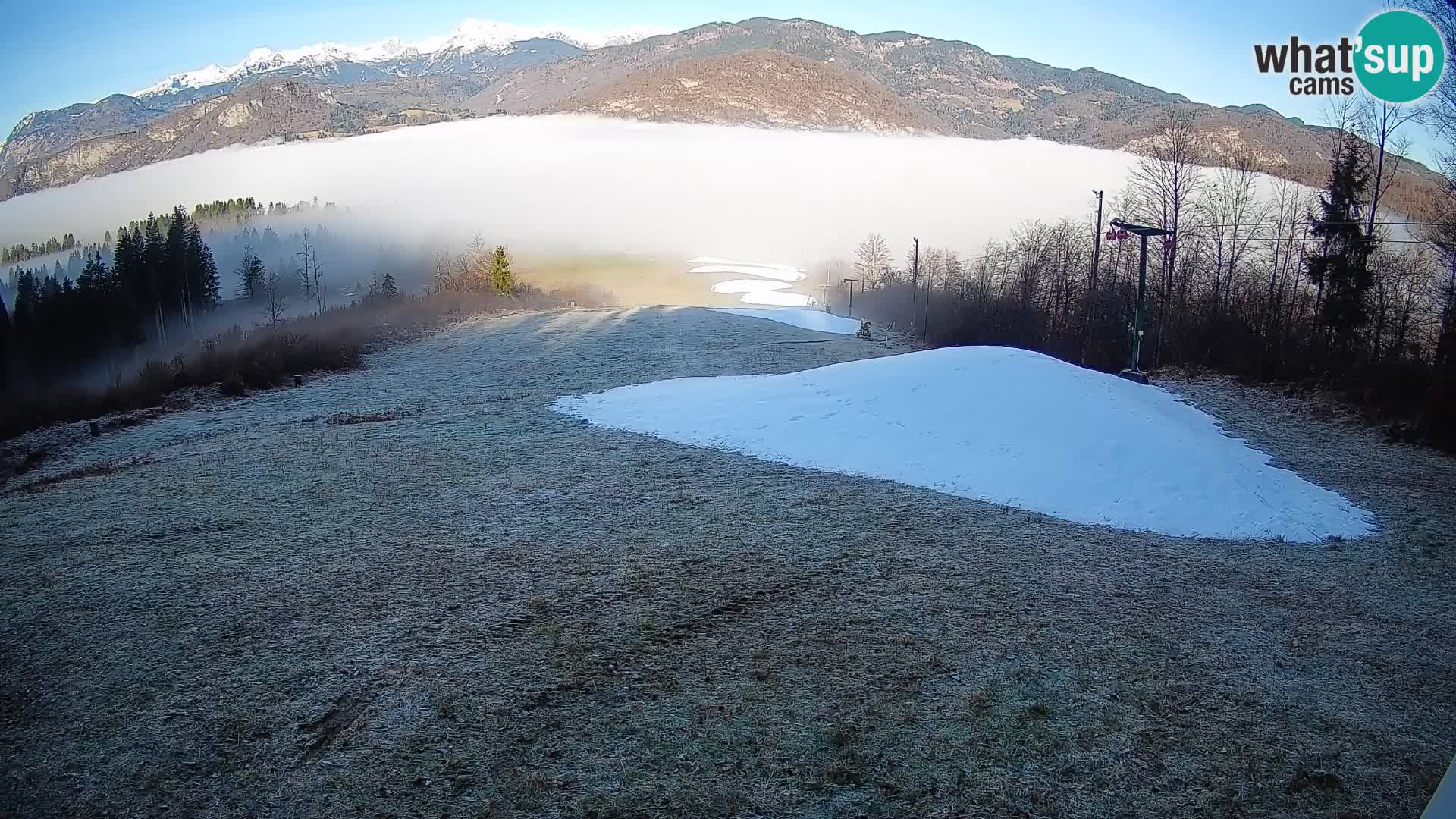 Webcam Bohinjska Bistrica – Live View from Kozji Hrbet Ski Station