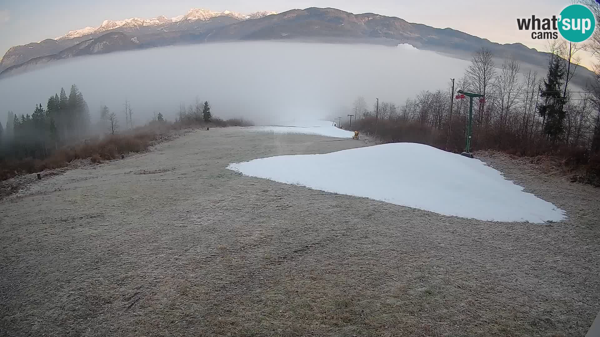 Webcam Bohinjska Bistrica – Vue en direct depuis la station de ski Kozji Hrbet
