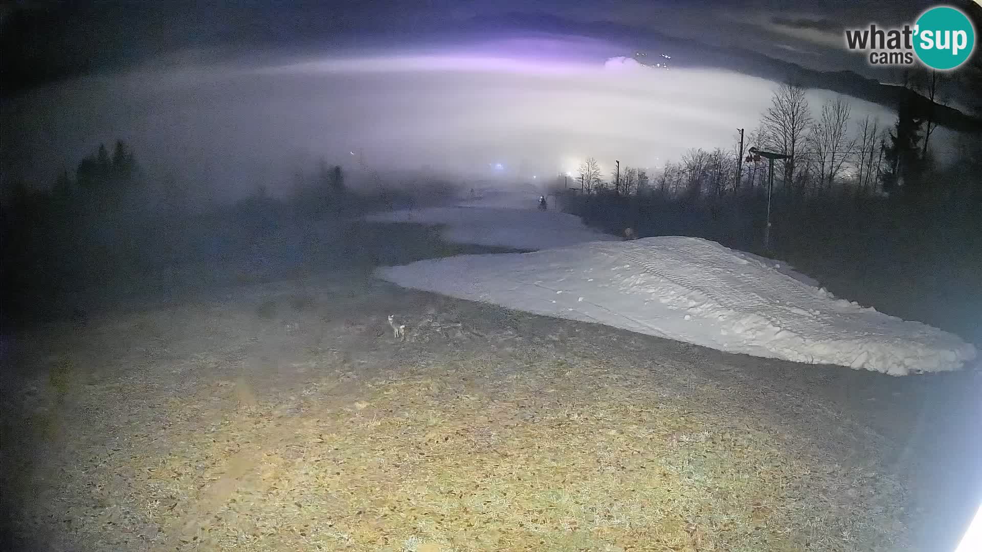 Webcam Bohinjska Bistrica – Vue en direct depuis la station de ski Kozji Hrbet