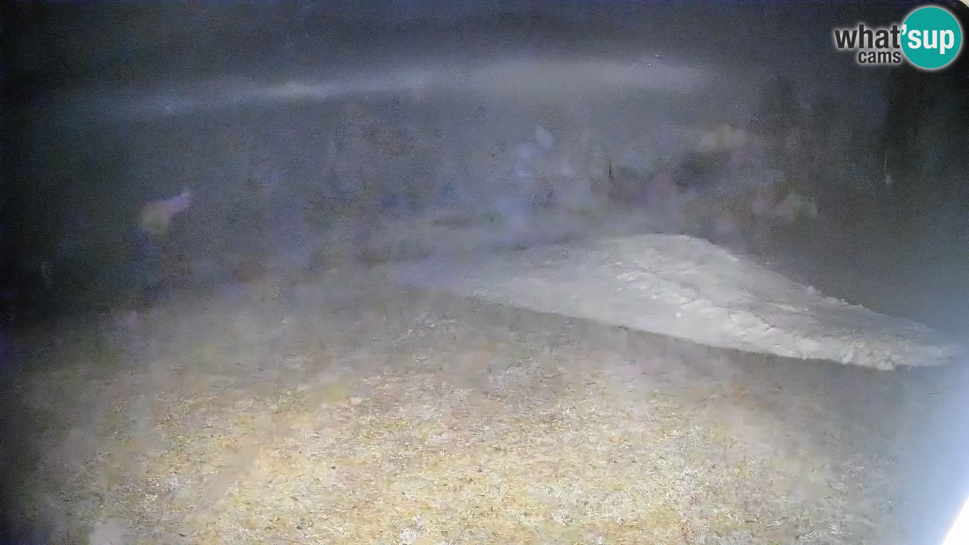 Kamera uživo Bohinjska Bistrica – Pogled u stvarnom vremenu sa skijališta Kozji Hrbet